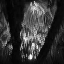 palmiers-de-nuit-hyeres-©roffinella