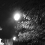 Hauts-de Hyères-©roffinella